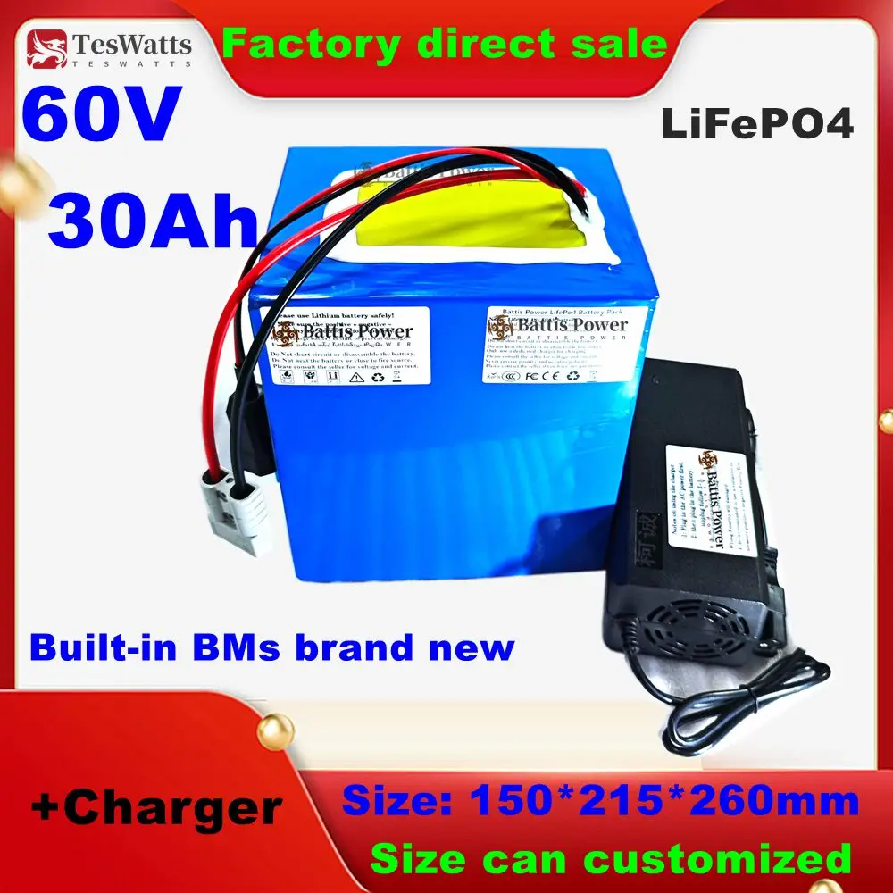 Batterie au lithium LiFePO4 avec BMS, cycle profond, vélo, scooter, tricycle, Go Cart, véhicule, chargeur 5A, 60V, 30Ah, 2500