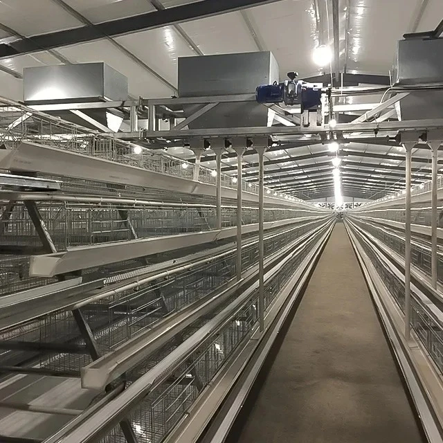 

Customization Hot Sale Chicken Poultry Farming Import Bird Cages A Type 10000 Layer Chickens Farm Bird Layer Cage For Sale