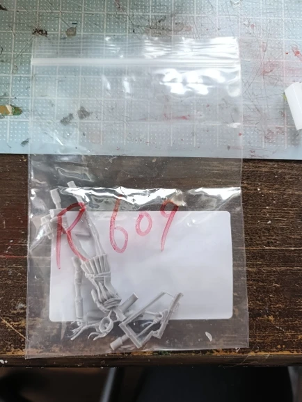 Buyer photo of this resin kit