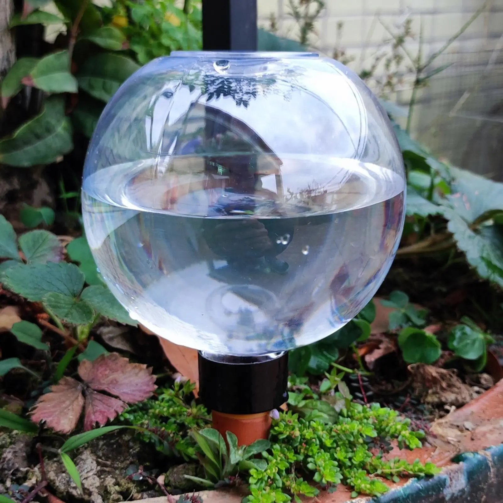 Thumbnail 4 - #33 Latest Watering Globes Offers