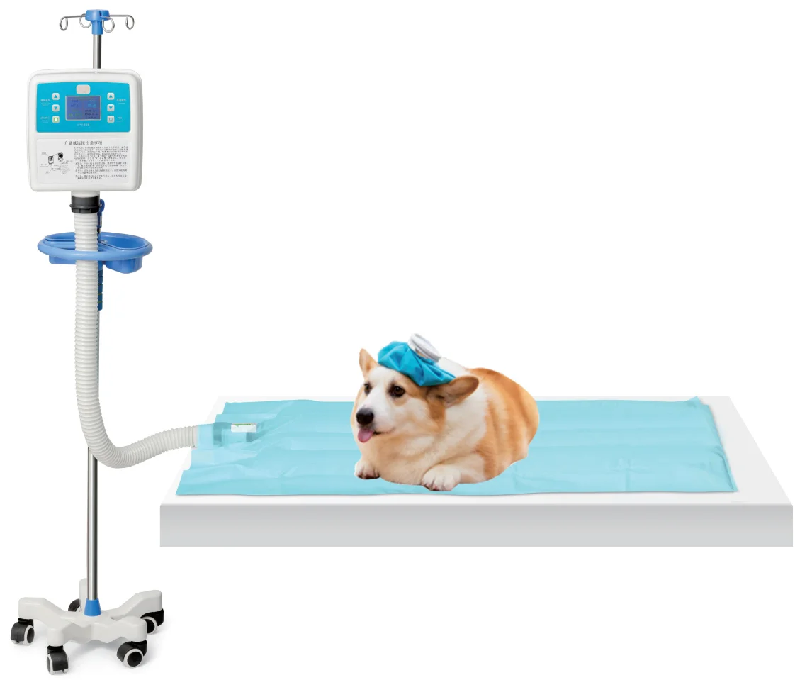 

Reusable Eco-Friendly Temperature-Controlled Pet Bed Warmer-Safe Heated Mat For Vet Clinics & Home Pet Care