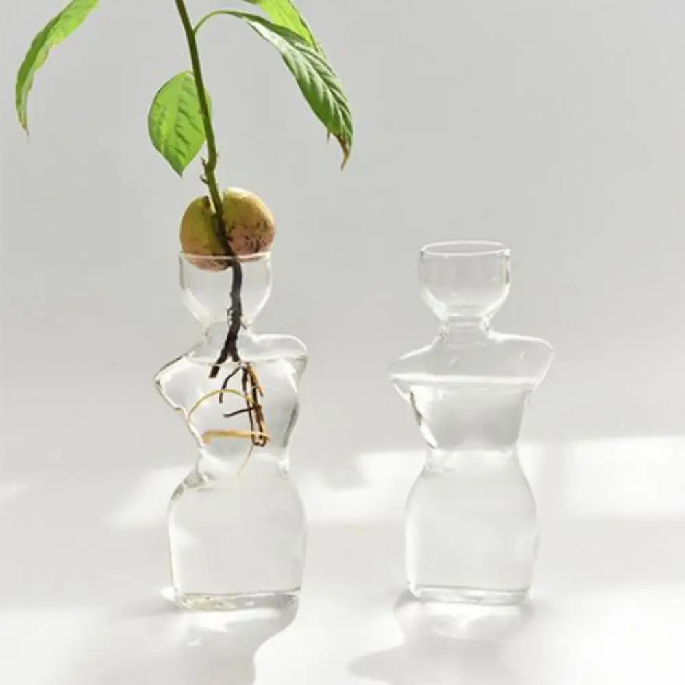 Simple Transparent Avocado Vase Glass Hydroponics Plant Vase Beautiful Body Seed Growing Kit Gardening Lovers