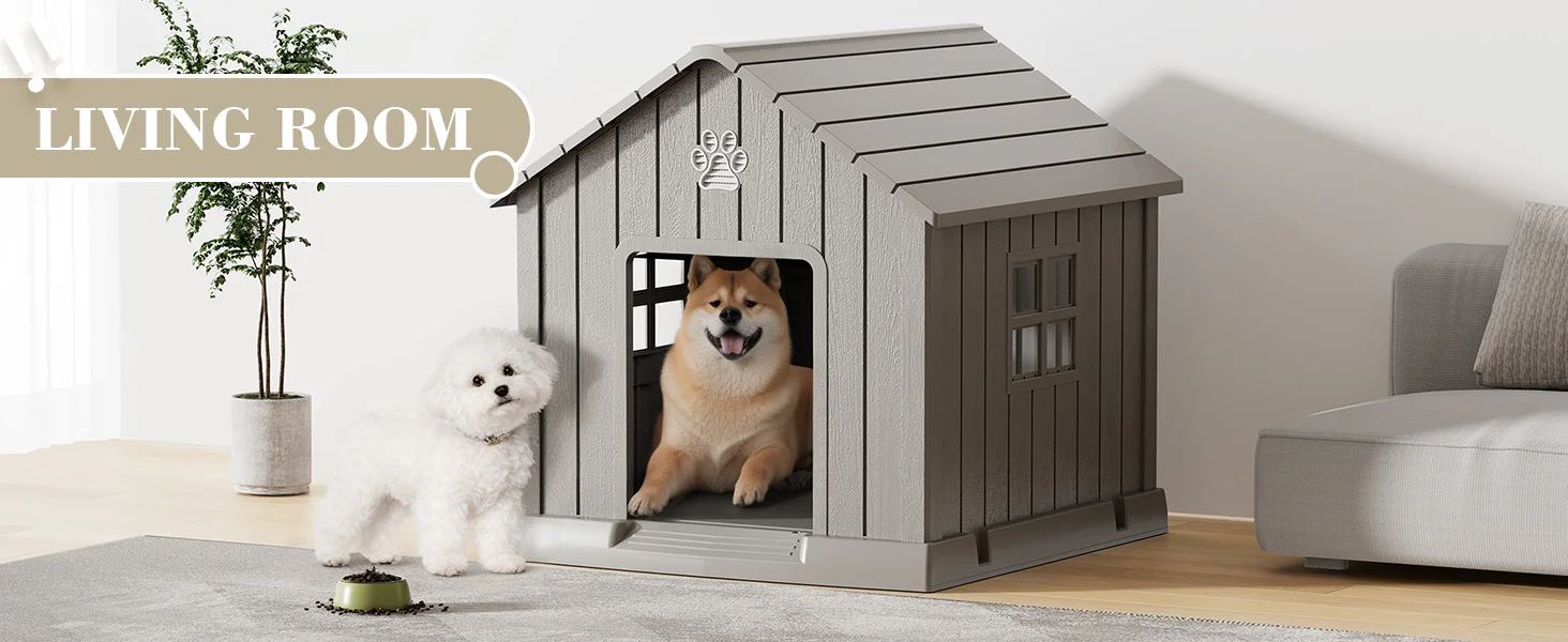 dog house