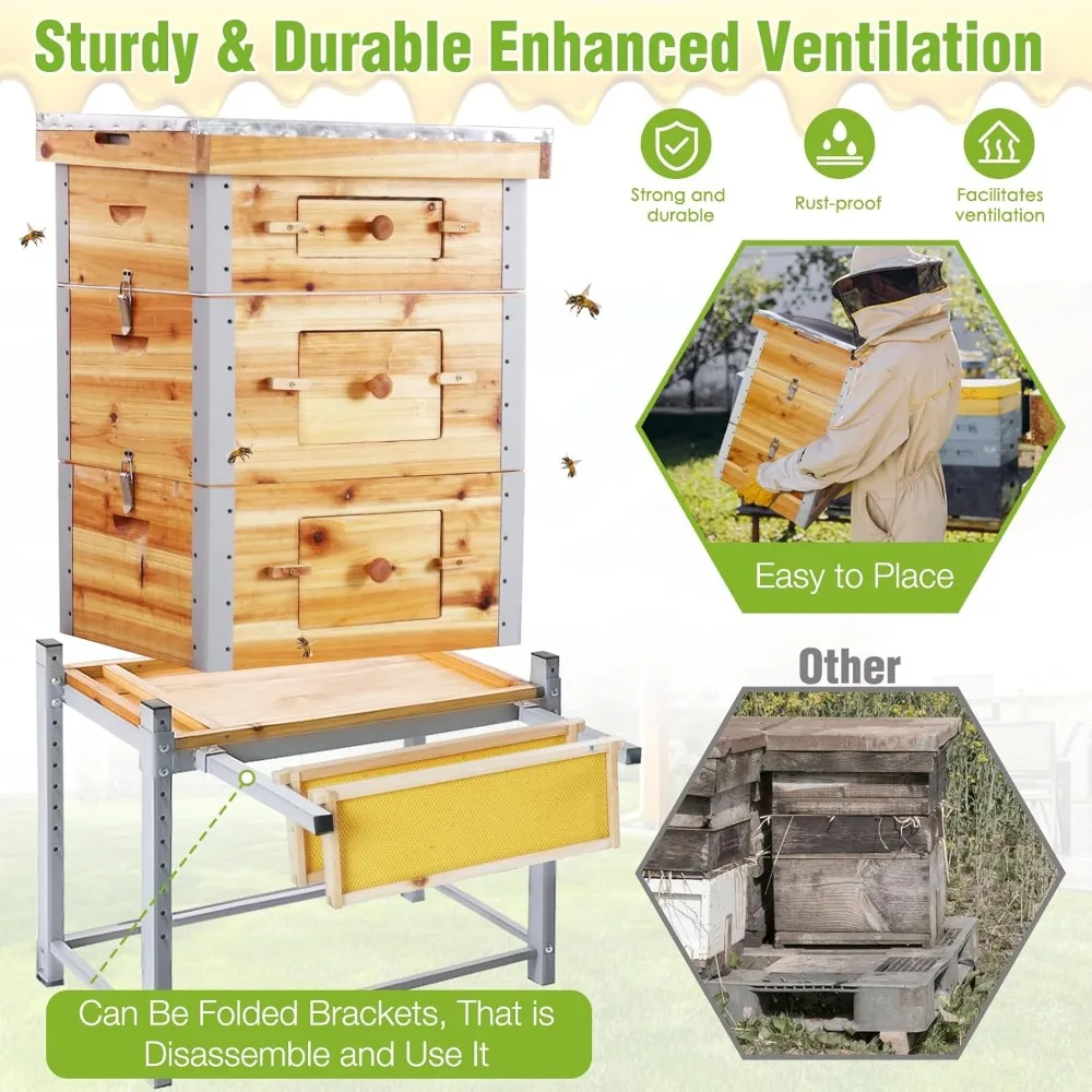 خلية النحل مع إطار معدني وحامل، خلية النحل ذات 10 إطارات مغموسة بشمع عسل 100%، خلية تدفق سهلة التجميع