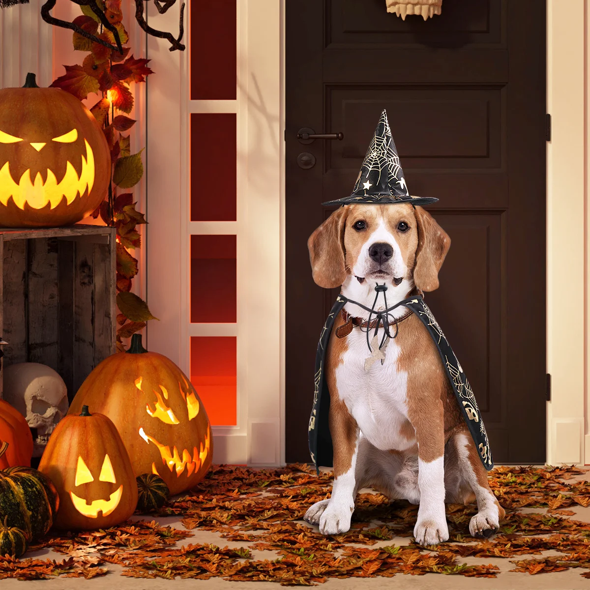 Zestaw: peleryna, czapka dla psa, rozmiar L, kostium na Halloween dla psa, styl czarodzieja, strój na pokaz zwierząt, peleryna na Halloween dla psa, kostium dla zwierząt.