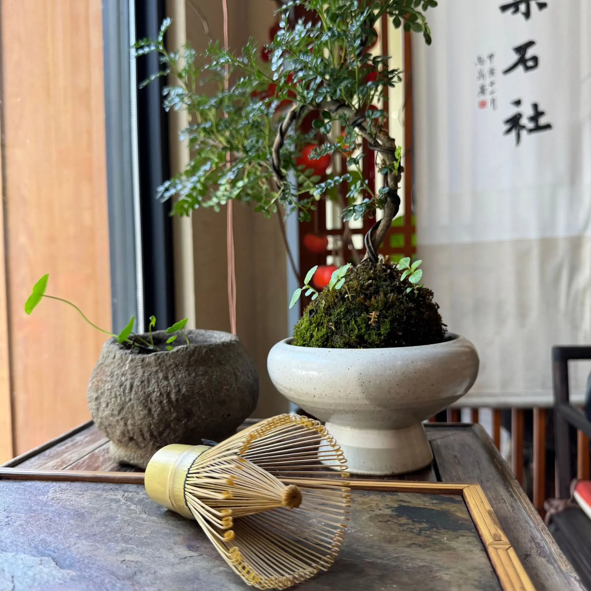 Immagine 7: Frullatore per Matcha in Bambù
