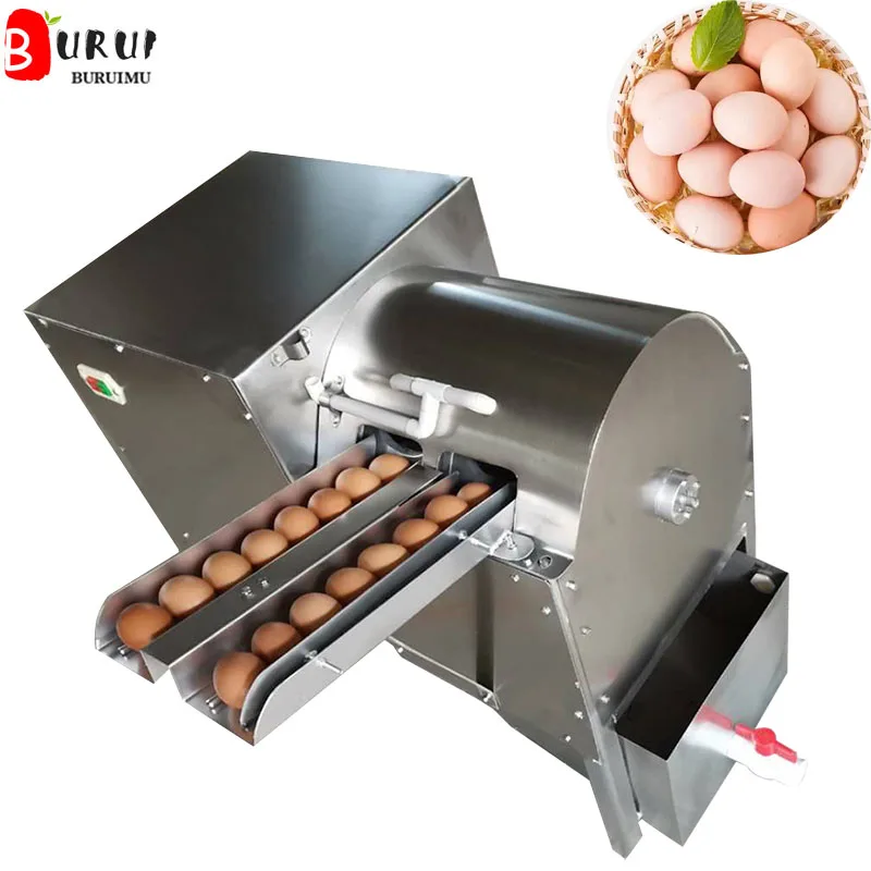 Electric Egg Washin… - image