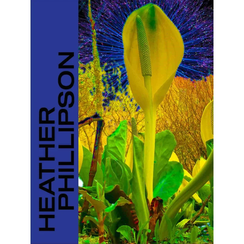 

Heather Phillipson Leila Hasham Prestel Publishing 9783791359526 Book