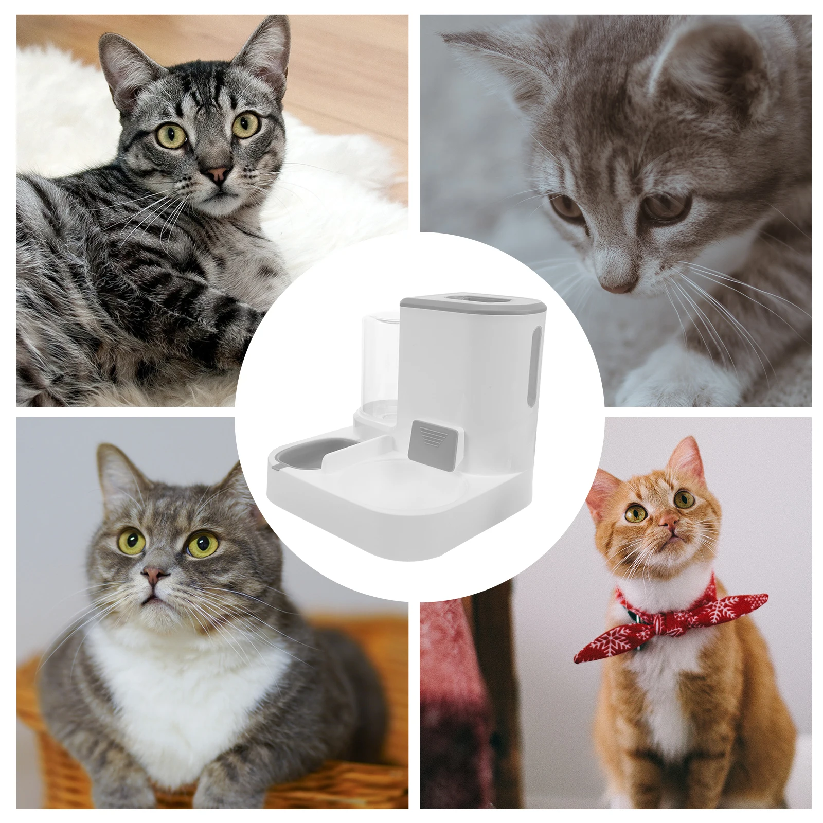 

Automatic Pet Feeder Large Capacity Dry Wet Separated Cat Dog Water Dispenser Gray Plastic Pet Supplies Water Bowl Dog Feeders