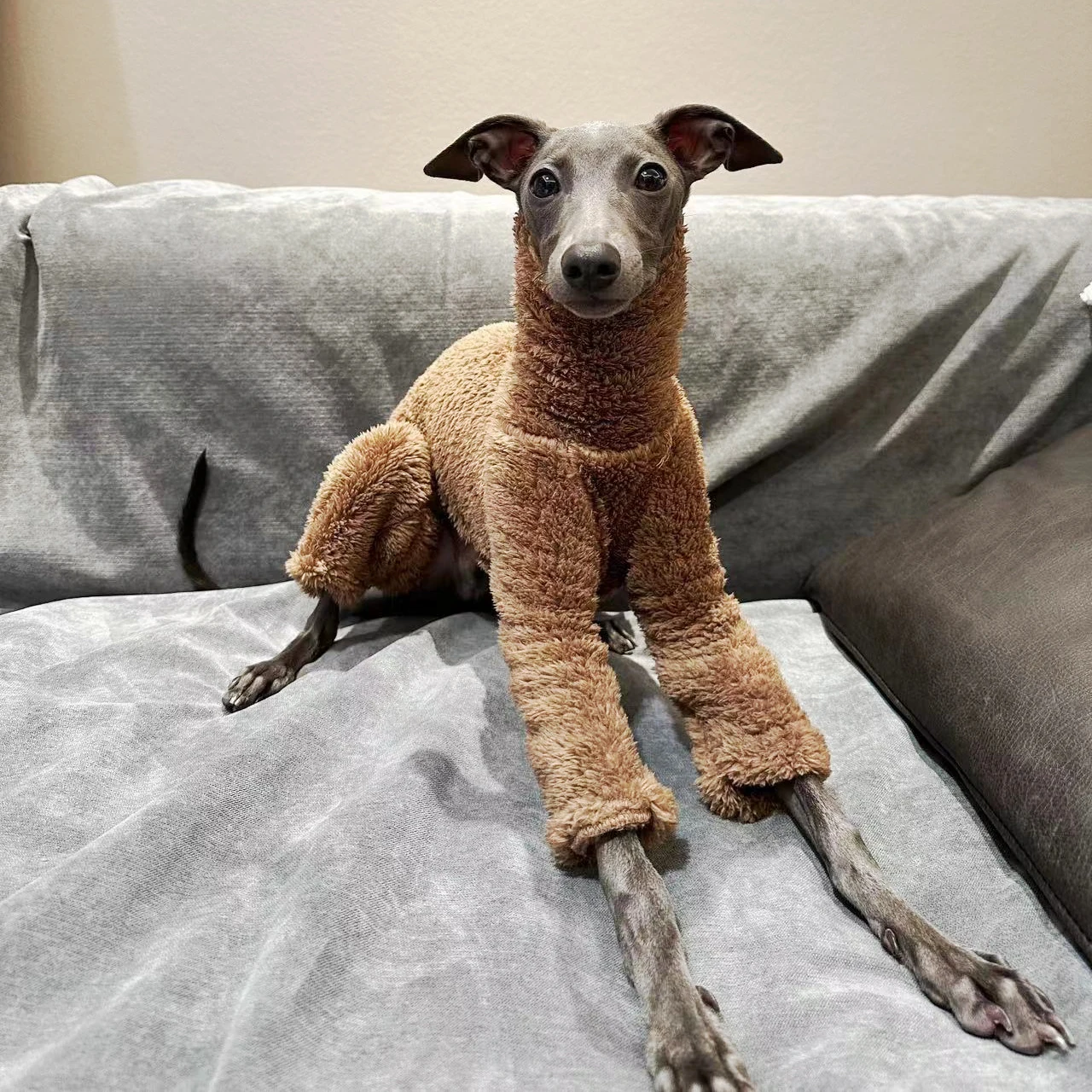 Winter Onesies For Dogs Soft Puppy Clothes High Neck Warm Italian Greyhound Clothes Whippet/Mexican Hairless/Maltese