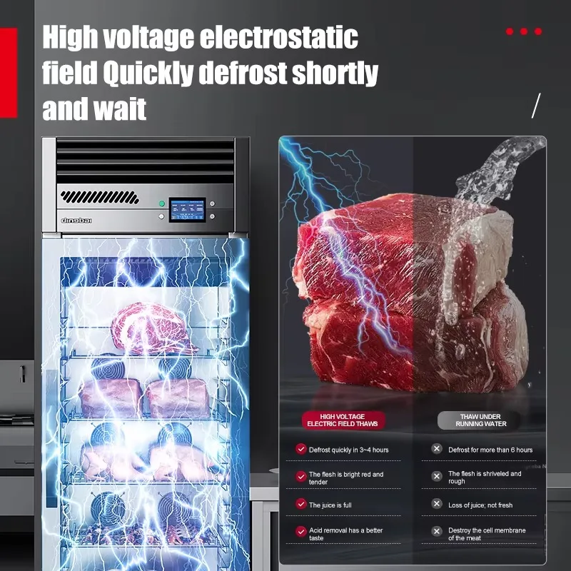 2026 New FL Kitchen Refrigeration Equipment HV Electrostatic Smart Thawing Cabinet for Beef Lamb Pork Preservation Customized