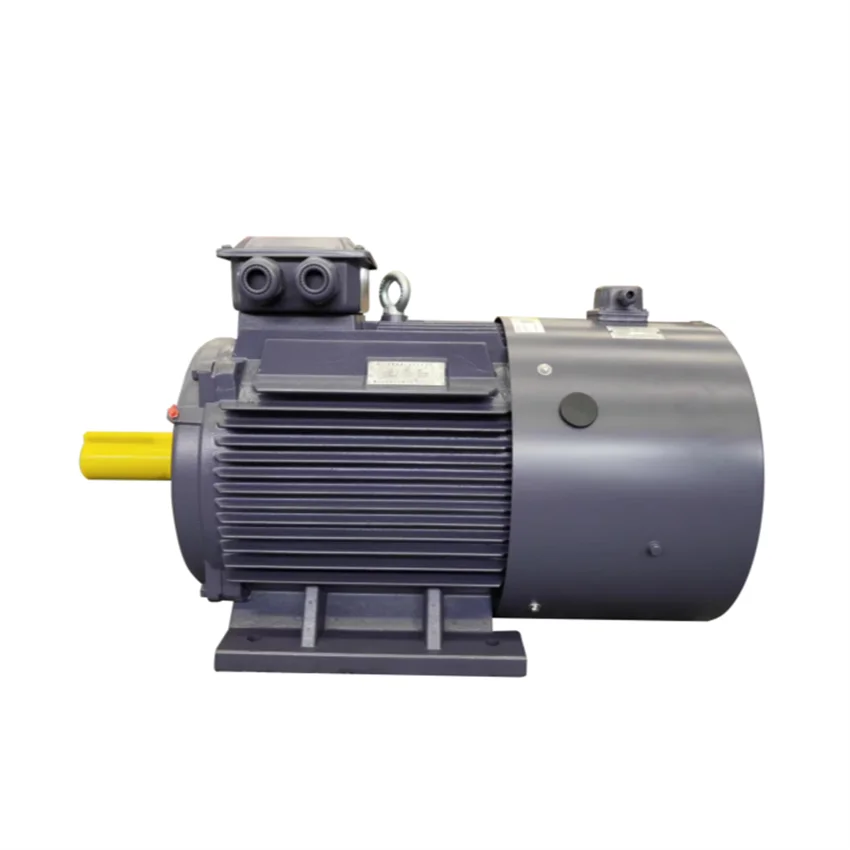 220V/380V/440V/480V High Stability Adjustable-Speed Synchronous Motor 220V