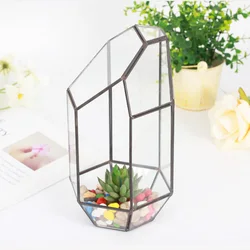 Irregular Glass Flower Pot Succulent Planter Case Terrarium Container Miniature Mini Landscape for Garden Black