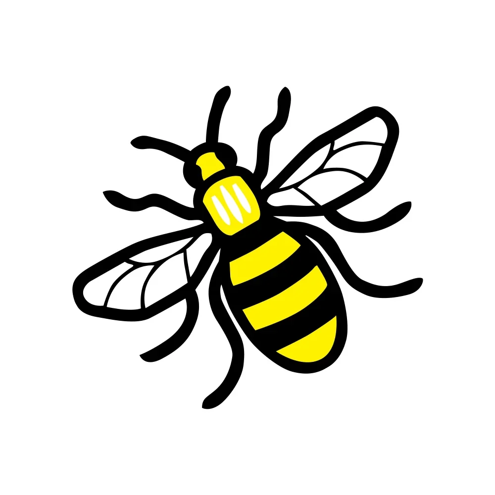 Colour Manchester B… - image