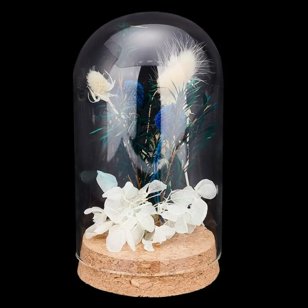 Cloche Glass Dome, Glass Display Dome with Cork Base Decoration Bottles Cloche Bell Jar for Collectibles Flower Office Home