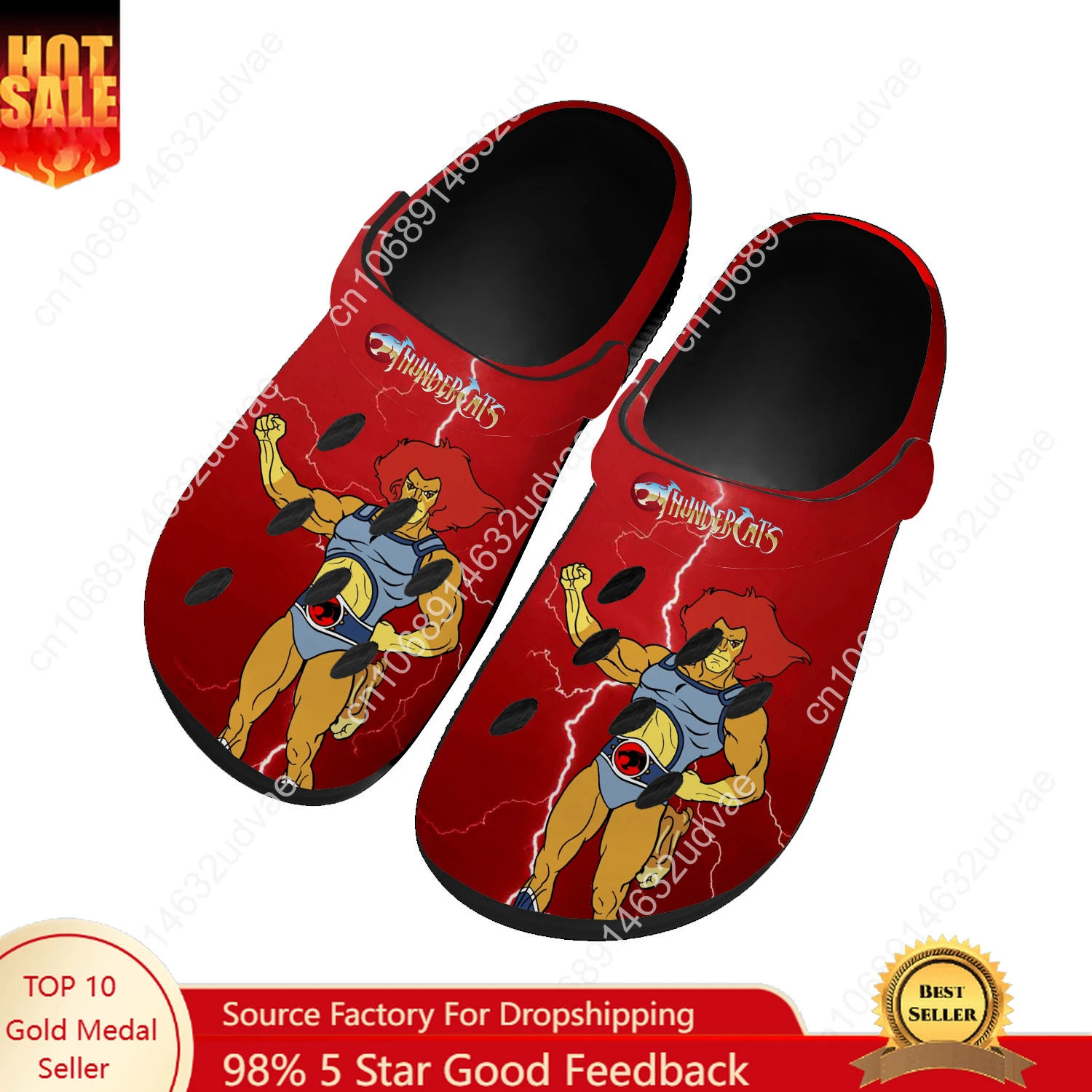 Thundercats Water Shoes Men Women Teenager High Quality Fashion Home Garden Clogs Custom Sandals Beach Breathable Hole Slippers