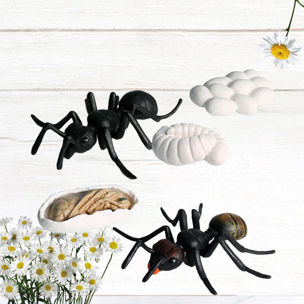 5 PCS Simulation Ant Growth Model Animal Halloween Black Figurine Artificial Kids Toy Themed Birthday Party Supplies