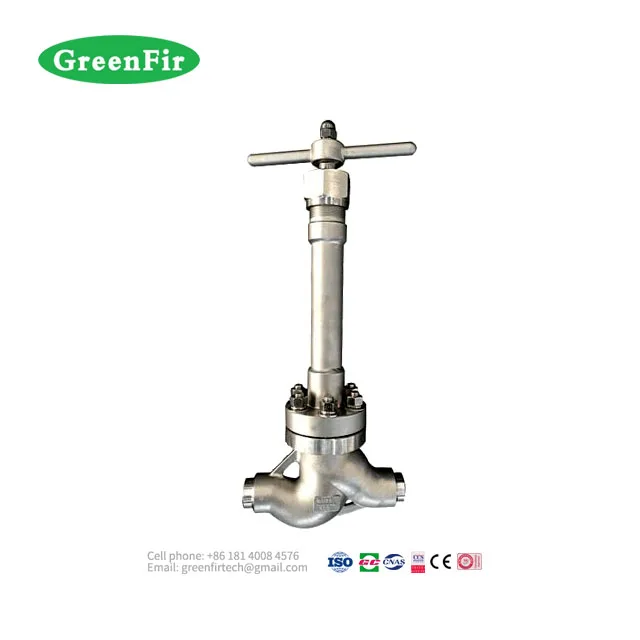 Customized PN200 High Pressure Cryogenic Pressure Regulating Check Valve for Liquid Oxygen