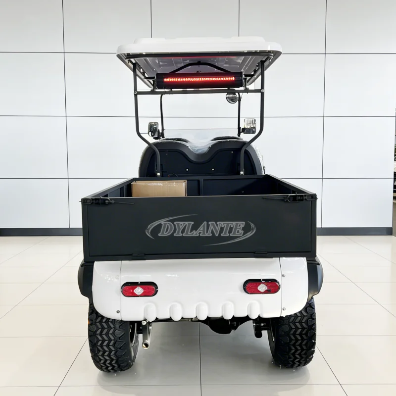 

Задний грузовой ящик, электромобиль, 60 В/72 В, литий-ионный аккумулятор, пассажирская тележка для гольфа, 12-дюймовый реверсивный вспомогательный внедорожник