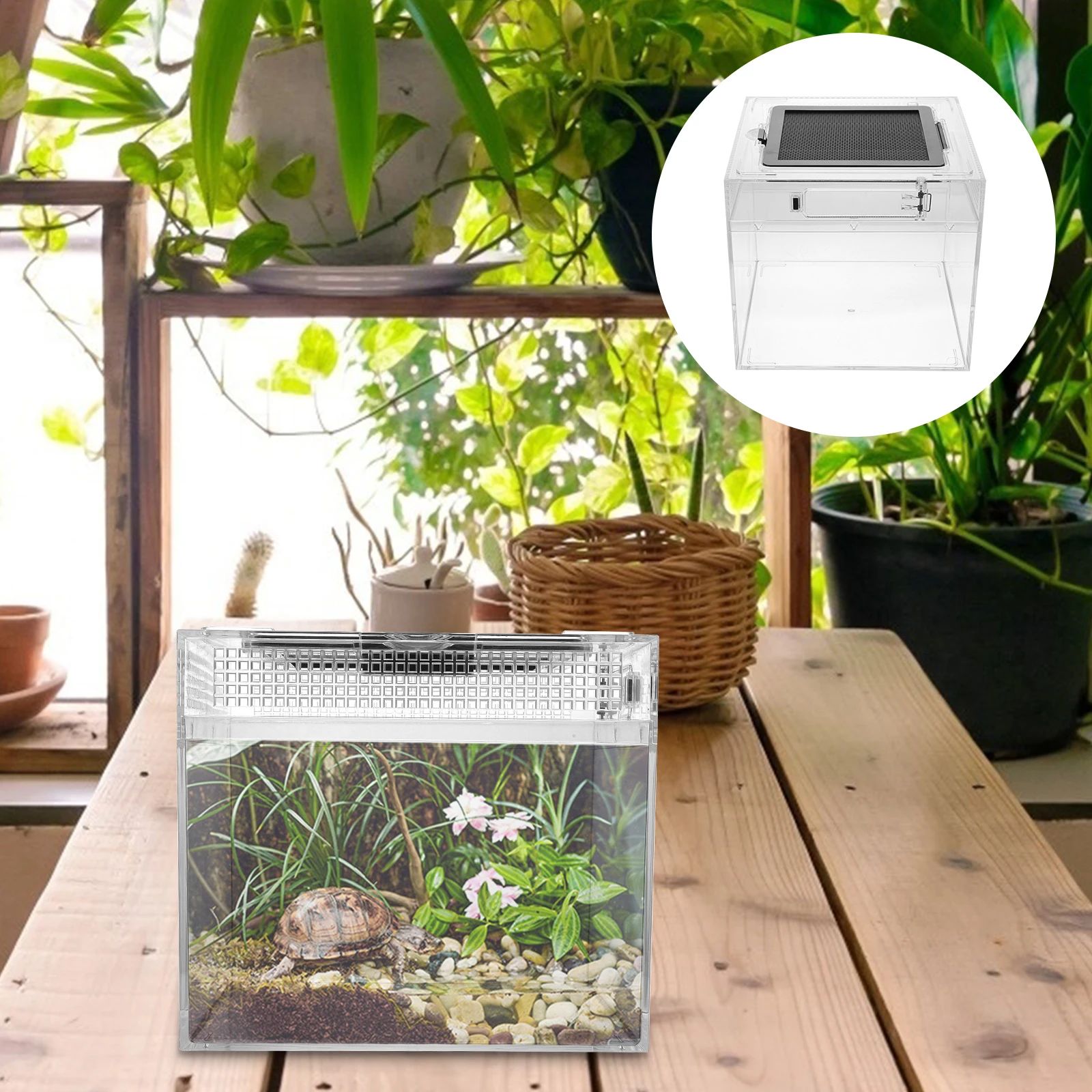 

1 PC Transparent Reptile Terrarium Large Space Anti Escape Ventilation Stable Airflow Turtle Spiders Snakes