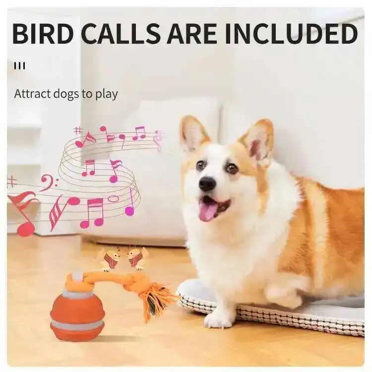 Thumbnail 4 - #17 Puppy Rope Toys Discount Picks