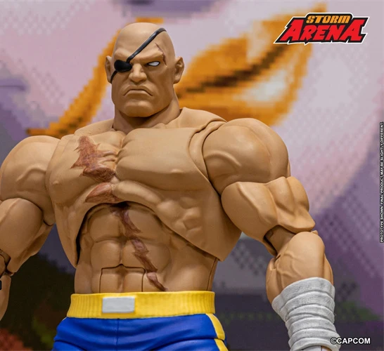 ฟิกเกอร์แอ็คชั่น Storm Toys SFSA03 1/12 ตัวผู้ รุ่น Fighter ปี 2025 ไตรมาส 4 พร้อมหัวสองแบบ ของเล่นโมเดลตุ๊กตาทหารสำหรับนักสะสม