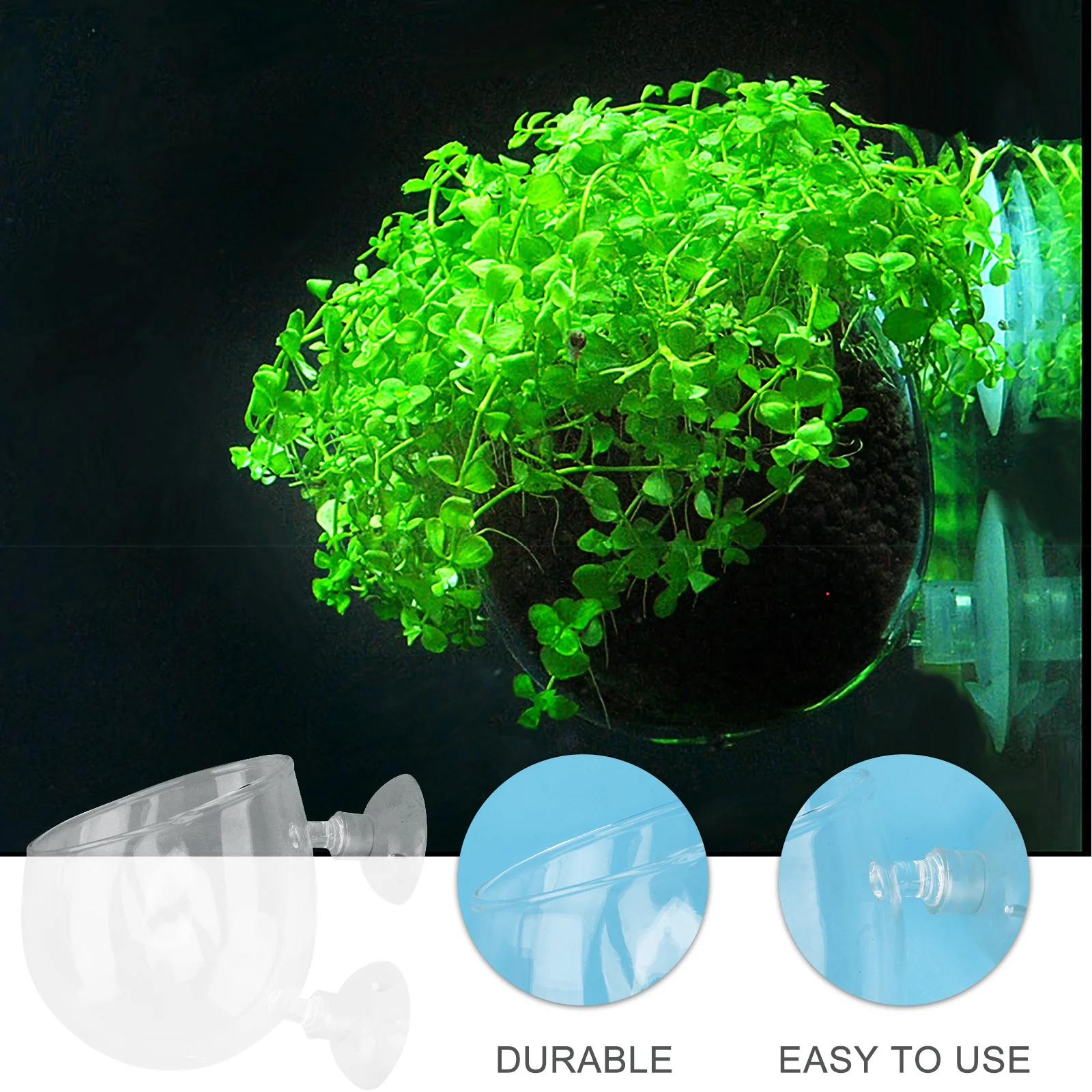 

Plant Cup， plant pot aquatic plant cup water plant cup cup for water plant