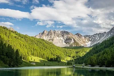 

4PCS 40mm 0.7 Inch Metal Beadlock Wheels and Tires Set For 1/30 RC Crawler Car SCX30 Ascent-32 Upgrade Parts Accessories