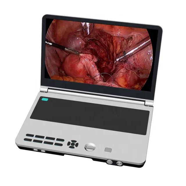 Full HD 4K 3 in 1 Endoscopy ENT Camera with LED Light Source Monitor