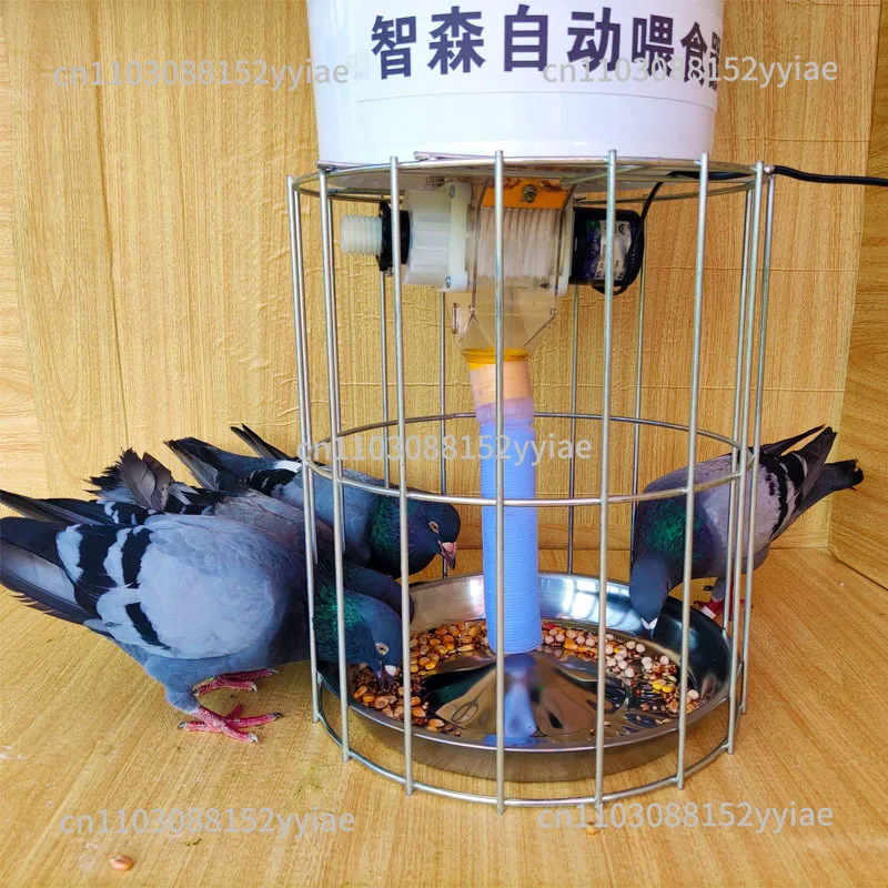 

Pigeon Supplies, Utensils, Automatic Feeder, Carrier Pigeon Trough, Regular Anti-scattering, Chicken and Pigeon Artifact