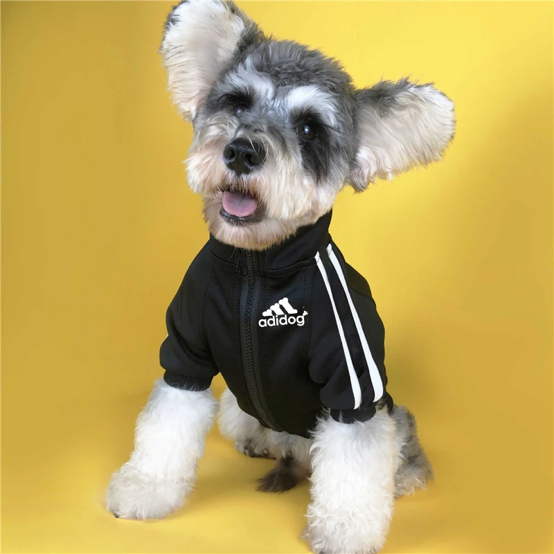 Adidog-Chaqueta de béisbol para perros pequeños, medianos y grandes, ropa de invierno para perros pequeños, ropa deportiva para Bulldog Francés,