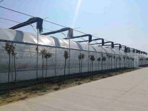 2026 Heavy Duty Multi-Span Double Layer PE Solar Agricultural Greenhouse Wind Resistant Serre Agricole Invernadero