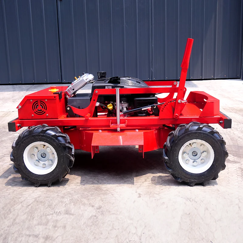 Customized Autonomo… - image