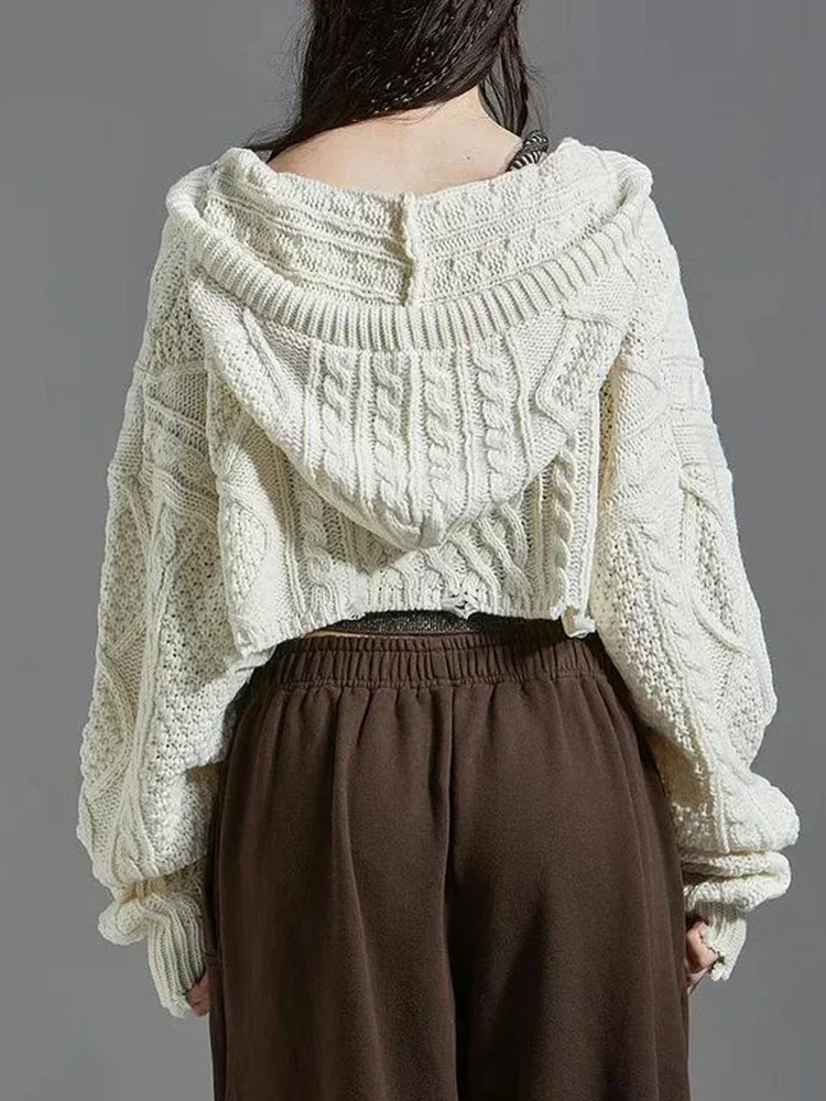 Solid Hoodie Sweaters Women Autumn Winter Casual Knitted Loose Crop Sweater Coat Vintage Korean Female Hooded Knitwear