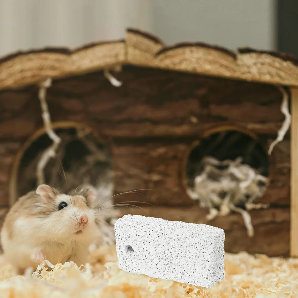 15 Pièces Pierre à Mâcher Naturelle en Pierre Ponce Volcanique pour Lapins, Hamsters, Chinchillas – Bloc de Molaire pour Soins Dentaires des Petits Animaux