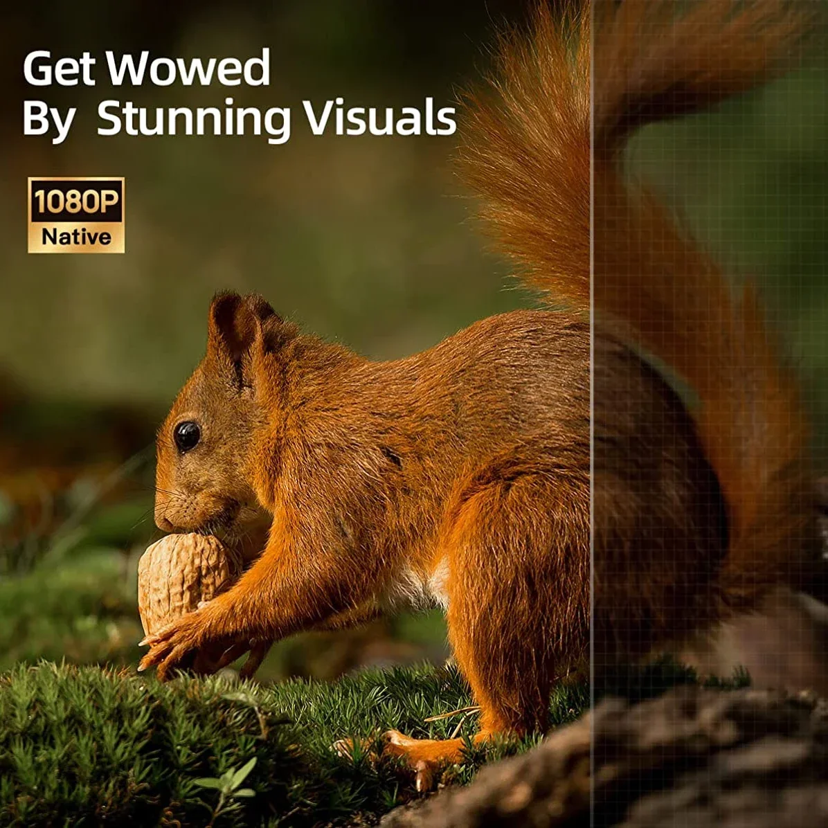 Global Version Dangbei NEO 1080P Projector Native Netflix Officially-Licensed Video Portable Beamer Bluetooth For Home Theater