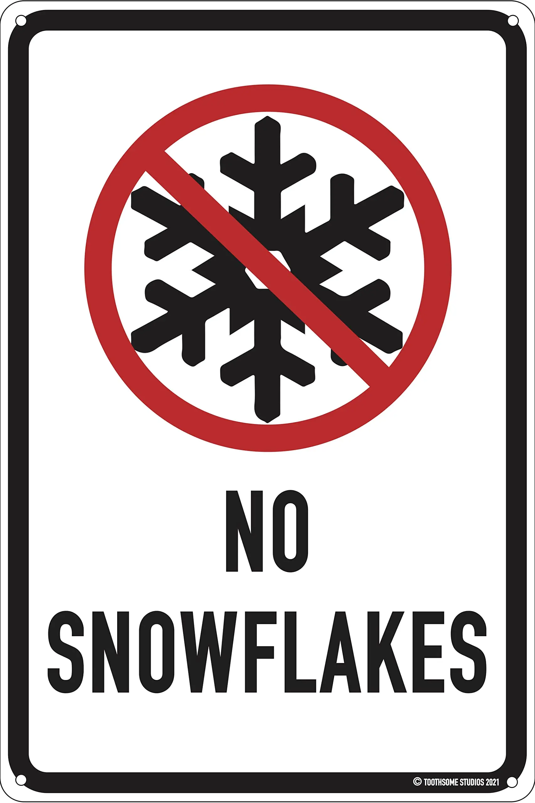 No Snowflakes 12