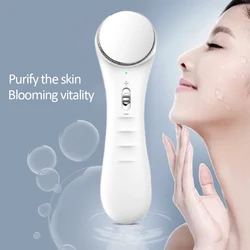 Wholesale RF&EMS Facial Mesotherapy Electroporation Radio Frequency Photon Face Lifting Tighten Wrinkle Removal Skin Care 1pcs