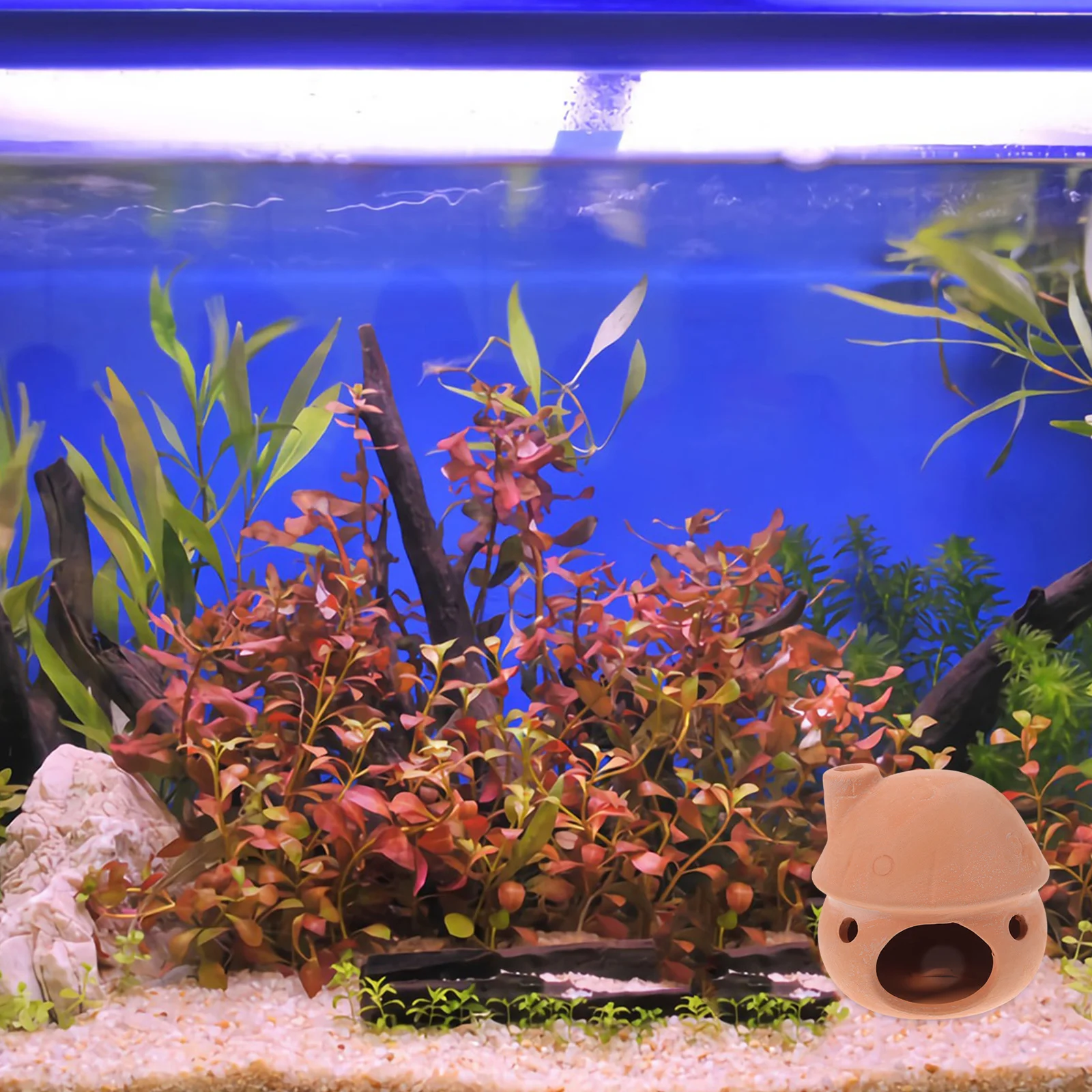 

Premium Pottery Clay Fish Shelter, Realistic Fish Tank Decor House for Aquarium Landscaping, Shrimp Hideout Cave Accessory