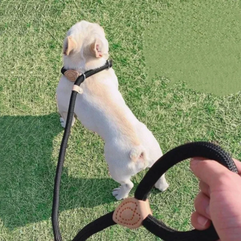 Thumbnail 3 - #55 Latest Dog Leads Offers