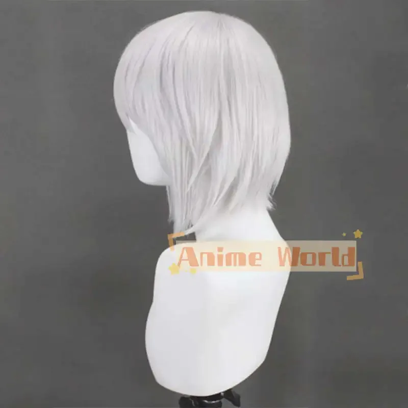 ลิมบัส บริษัท ซินเนอร์ ฟาสท์คอสเพลย์วิกผม