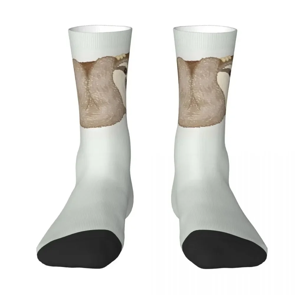 Sloth On The Tree Socks Shopping Print Boy Mid-calf Sock