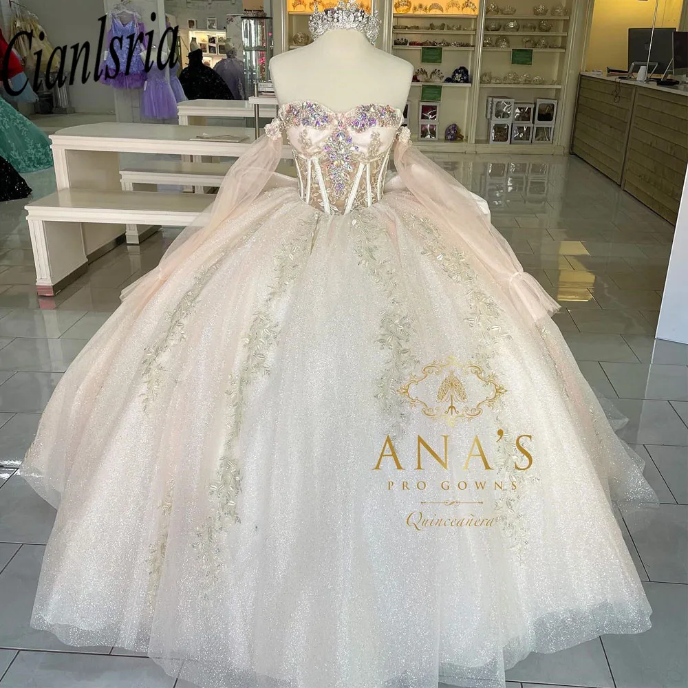 Champagne Quinceanera Dresses Ball Gown Birthday Party Dress Lace Up Graduation Gown Sweetheart Swet 16 vestidos de quinceañera