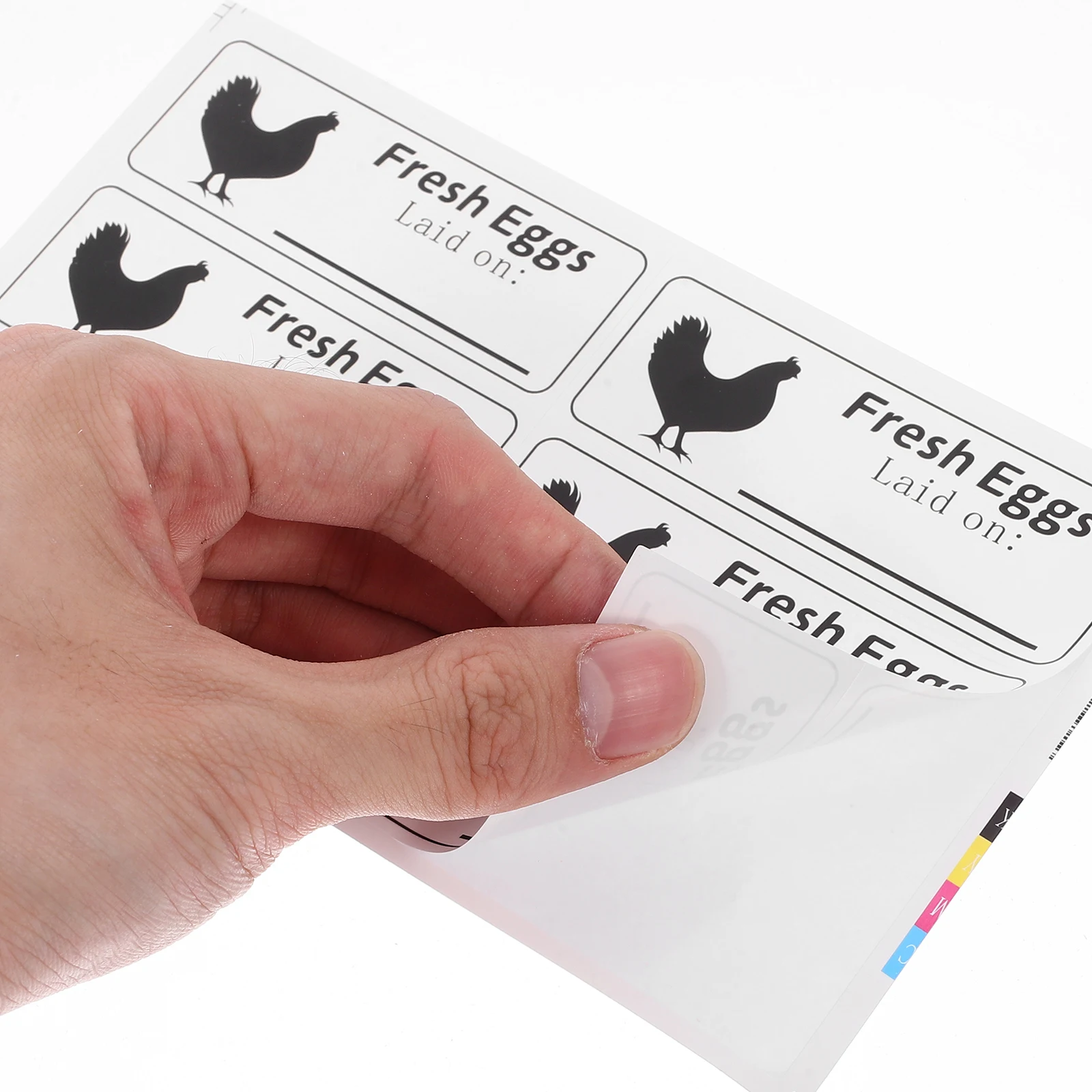 

100 Sheets Egg Carton Date Label Labels Eggs Market Handwriting Chicken Stickers