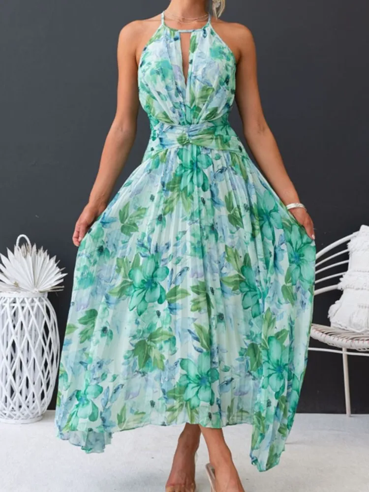 

New Arrival Elegant And Fashionable Hanging Neck Style Dress Summer Party Printed Women's Long Dress Open Back Sexy A-line Dress