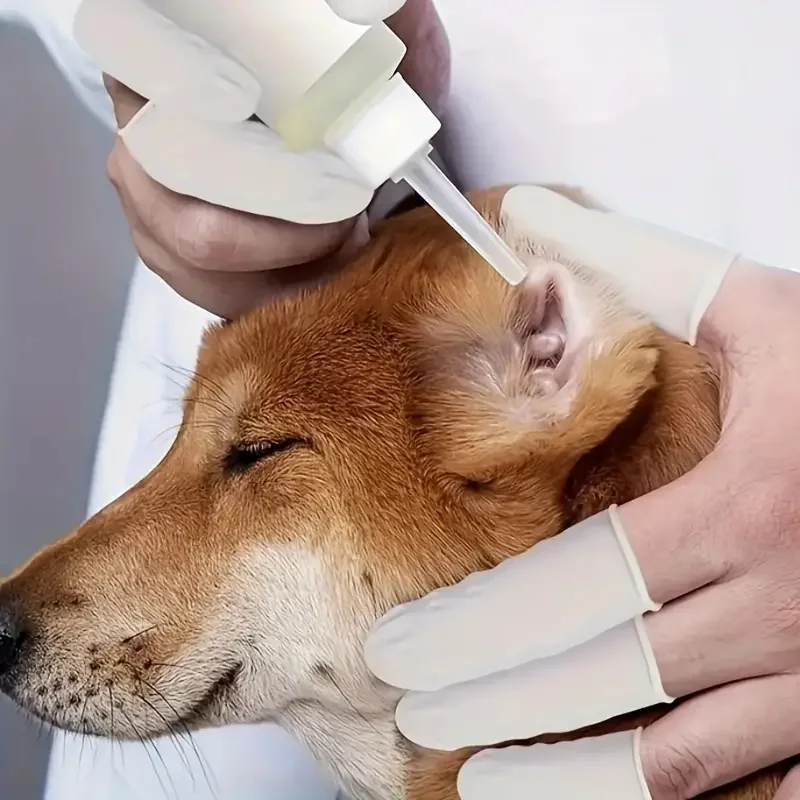 200PCS Multi-color Disposable Finger Cots Anti Slip Latex Powder Free Rolled Edge Finger Cots Beauty Hairdressing Tattoo Tools