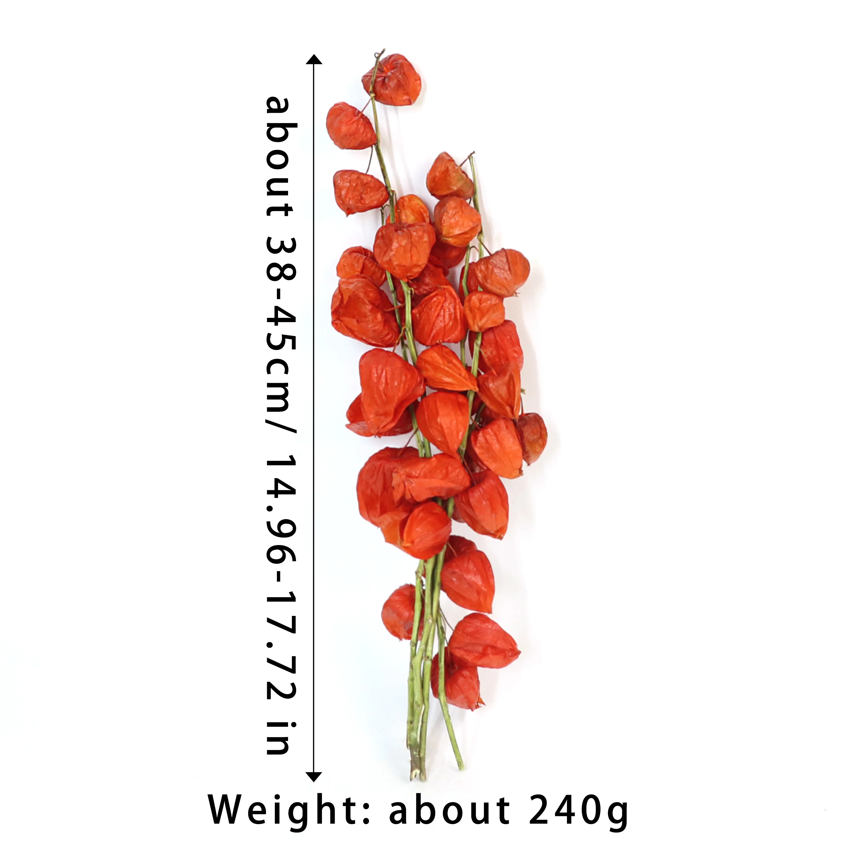 Dried Physalis Branch,5PCS/Bundle Real Orange Dried Flowers,for Christmas,DTY Crafts,Home,Party,Vase,Table,Wedding Decor view 3