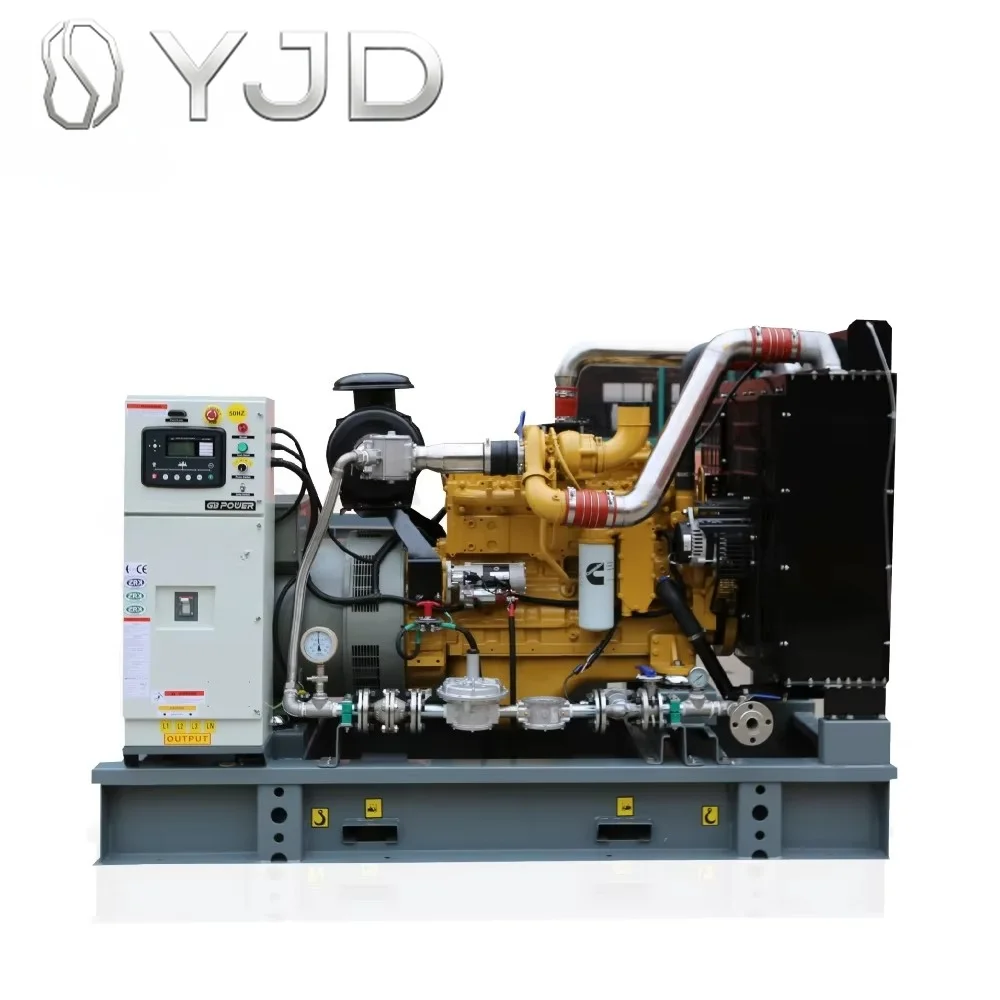 OEM Water Cooling 50HZ 60HZ Silent Prime 240kw 300kva Natural Gas Generator Set with Engine Cmmins GB13-GN