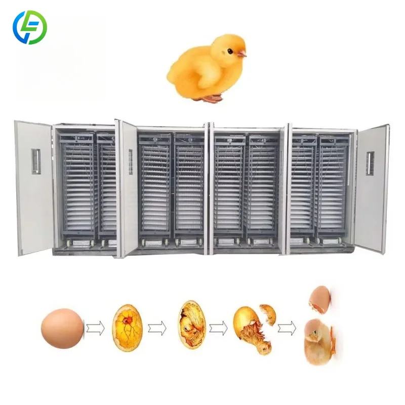 Customized Best Selling Smart Incubator Shopping Fully Automatic Hatchery Eggs Incubator Machine Egg Incubators