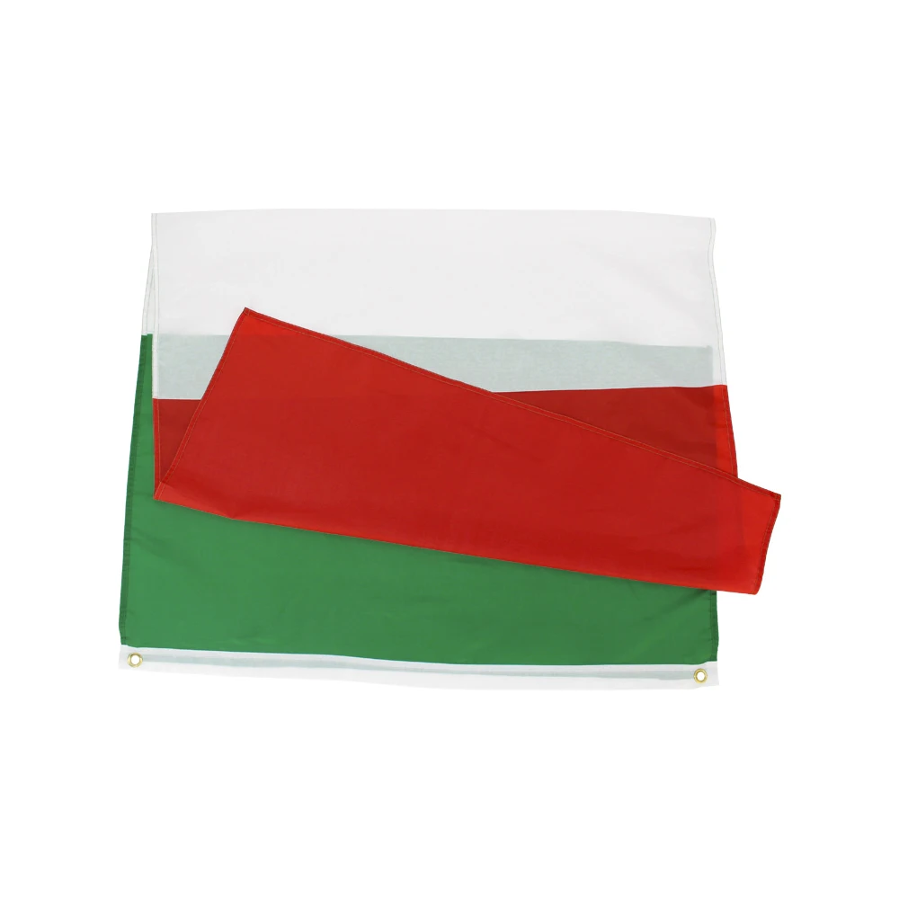 Bandera Italia 60x90 cm Poliéster Verde Blanco Rojo Exterior - imagen 3